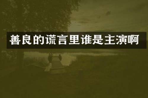 善良的谎言里谁是主演啊