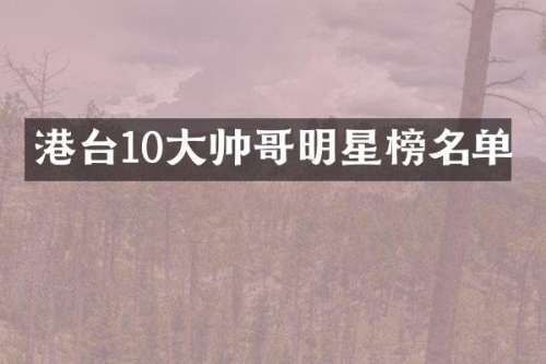 港台10大帅哥明星榜名单