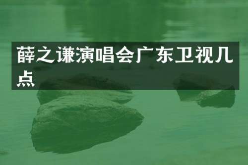 薛之谦演唱会广东卫视几点