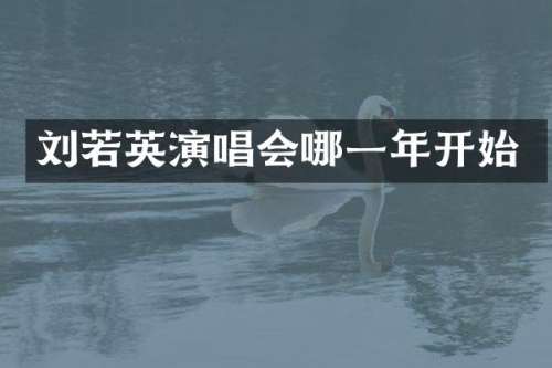 刘若英演唱会哪一年开始