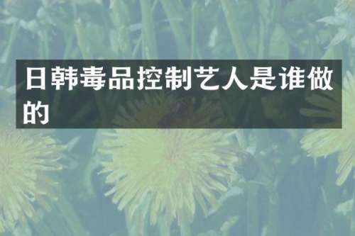 日韩控制艺人是谁做的