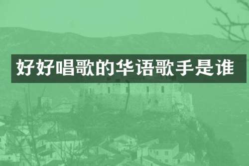 好好唱歌的华语歌手是谁