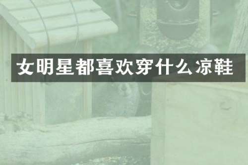 女明星都喜欢穿什么凉鞋