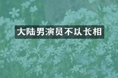 大陆男演员不以长相