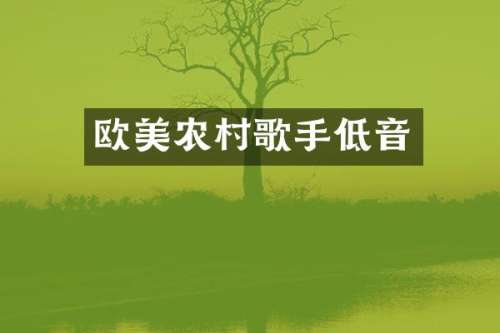 欧美农村歌手低音