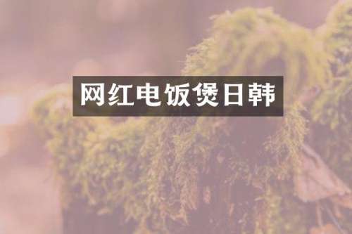 网红电饭煲日韩
