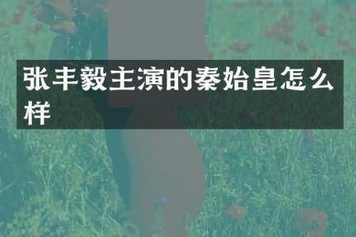 张丰毅主演的秦始皇怎么样