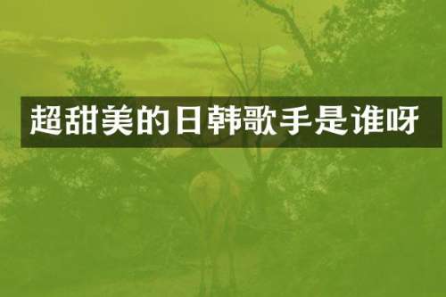超甜美的日韩歌手是谁呀
