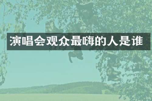 演唱会观众最嗨的人是谁