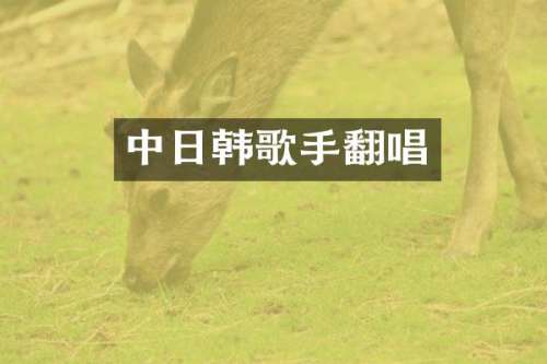 中日韩歌手翻唱