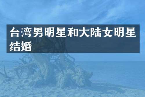 台湾男明星和大陆女明星结婚