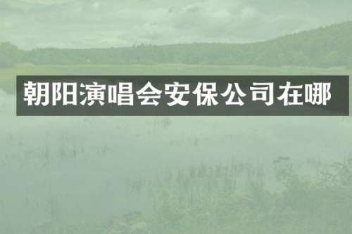 朝阳演唱会安保公司在哪