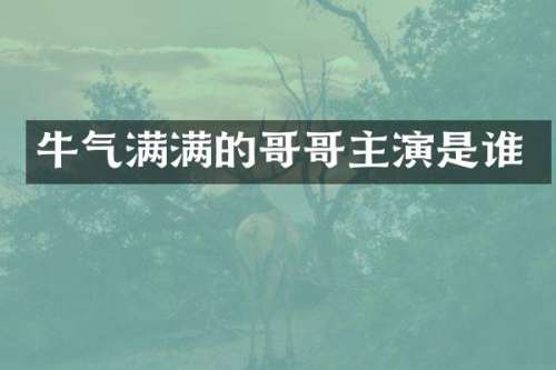牛气满满的哥哥主演是谁