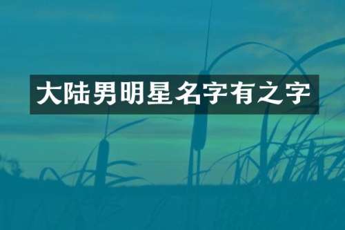 大陆男明星名字有之字