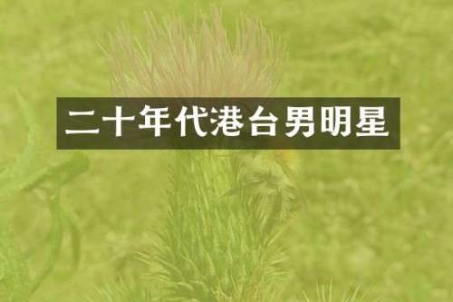 二十年代港台男明星