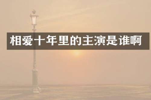 相爱十年里的主演是谁啊