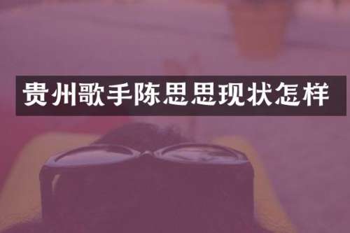 贵州歌手陈思思现状怎样