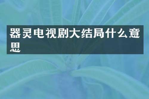 器灵电视剧大结局什么意思