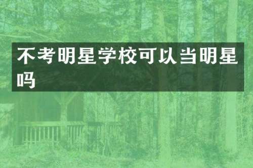不考明星学校可以当明星吗