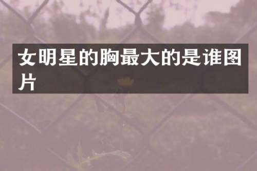 女明星的最大的是谁图片