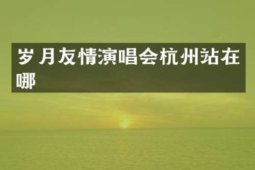岁月友情演唱会杭州站在哪