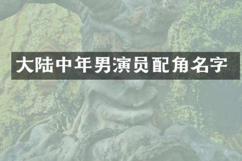 大陆中年男演员配角名字