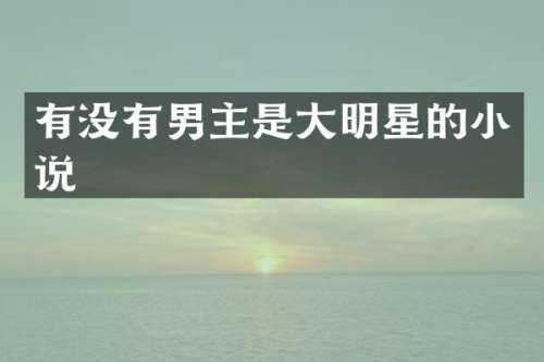 有没有男主是大明星的小说
