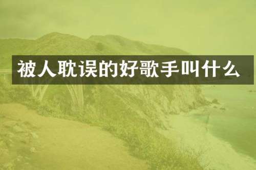 被人耽误的好歌手叫什么