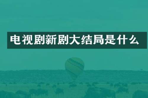 电视剧新剧大结局是什么