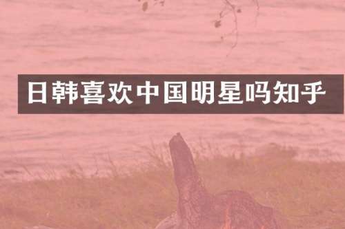 日韩喜欢中国明星吗知乎