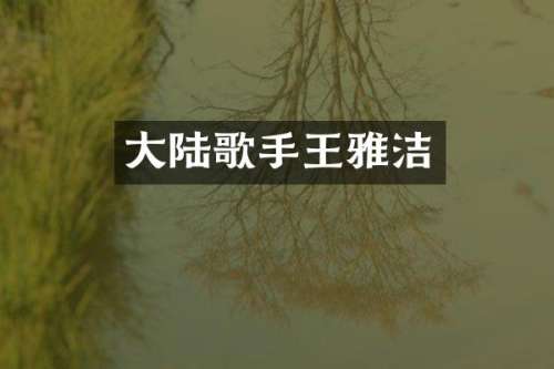 大陆歌手王雅洁