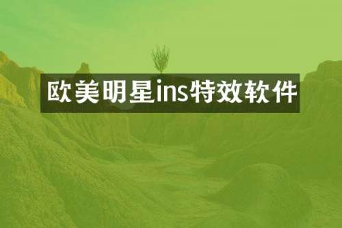 欧美明星ins特效软件