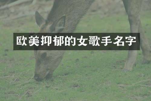 欧美抑郁的女歌手名字