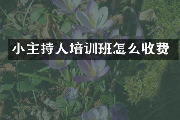 小主持人培训班怎么收费