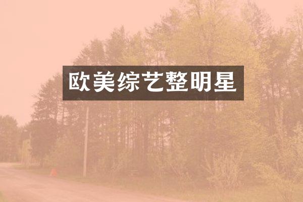 欧美综艺整明星
