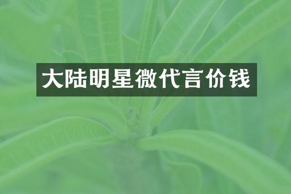 大陆明星微代言价钱
