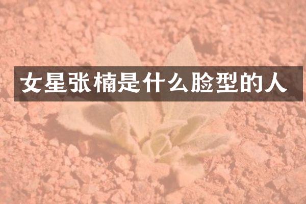 女星张楠是什么脸型的人