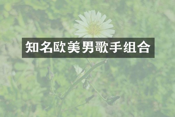 知名欧美男歌手组合