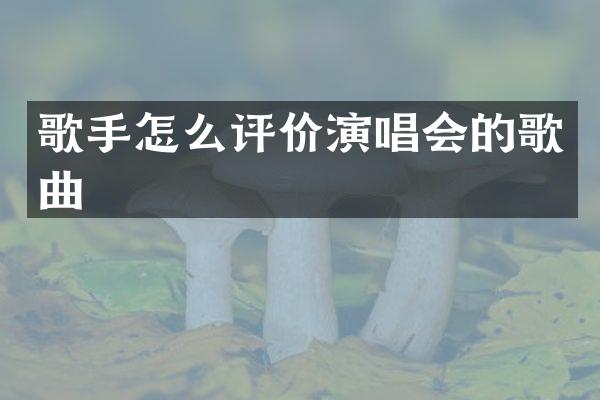 歌手怎么评价演唱会的歌曲