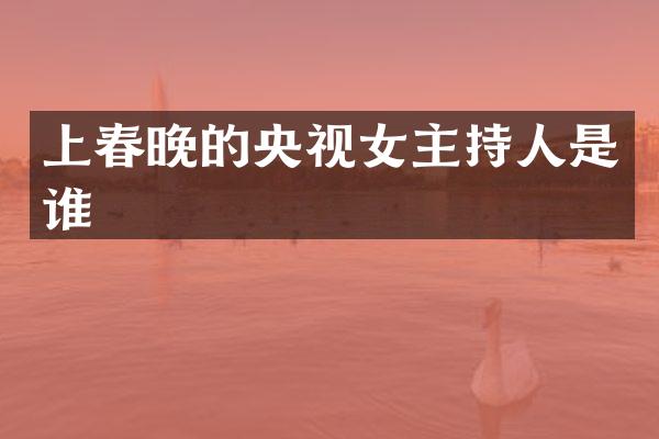 上的央视女主持人是谁