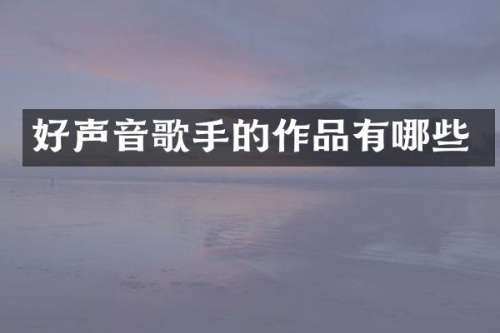 好声音歌手的作品有哪些