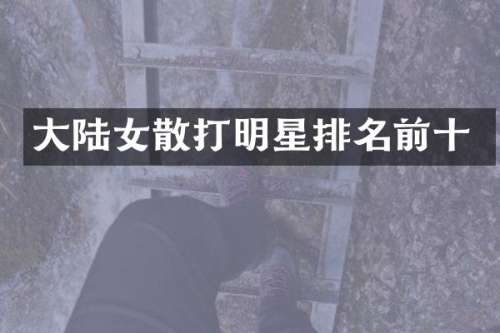 大陆女散打明星排名前十