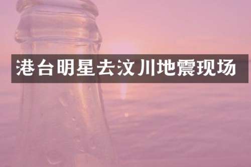 港台明星去汶川地震现场