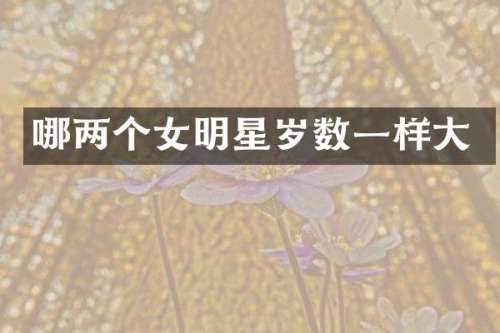 哪两个女明星岁数一样大