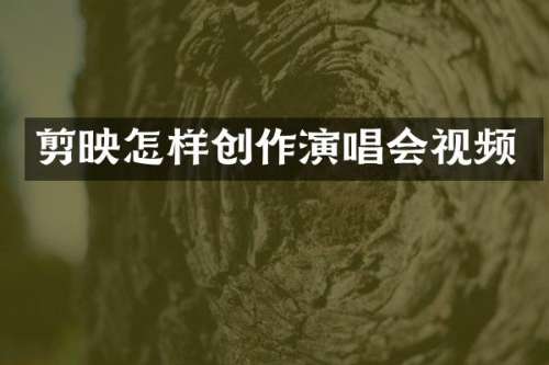 剪映怎样创作演唱会视频
