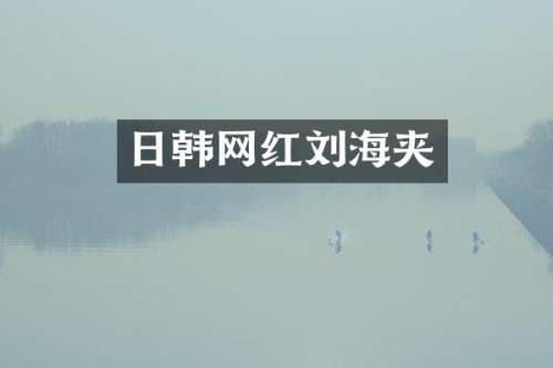 日韩网红刘海夹