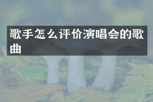 歌手怎么评价演唱会的歌曲