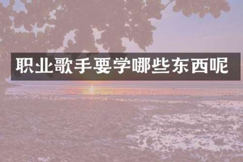 职业歌手要学哪些东西呢