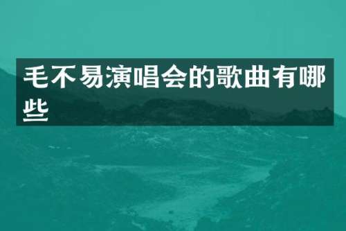 毛不易演唱会的歌曲有哪些