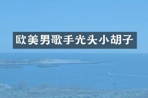 欧美男歌手光头小胡子